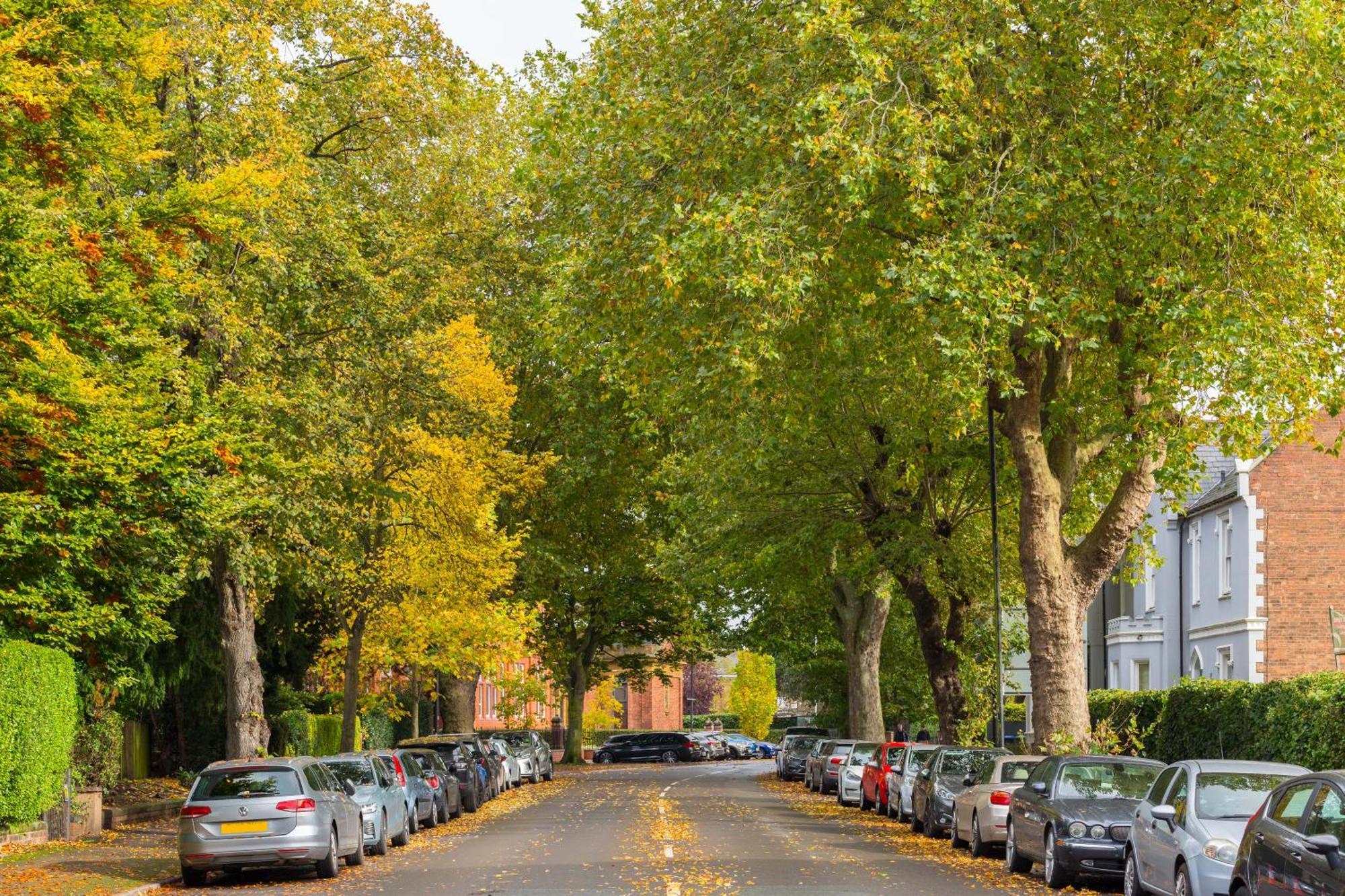 1-Bedroom Apartment In Leamington Spa With Free Parking Dış mekan fotoğraf